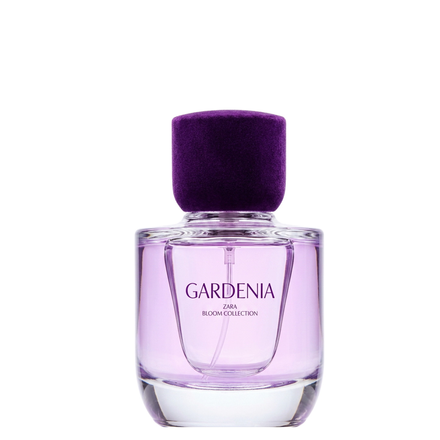 GARDENIA eau de parfum de chez ZARA.