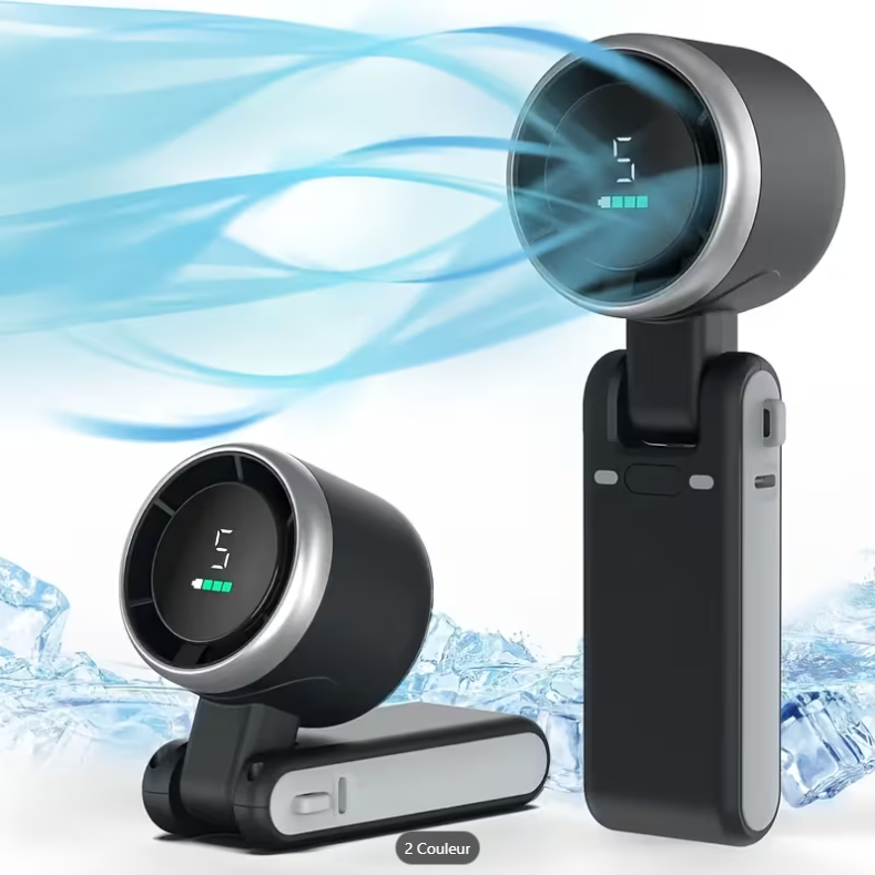 Ventilateur portable